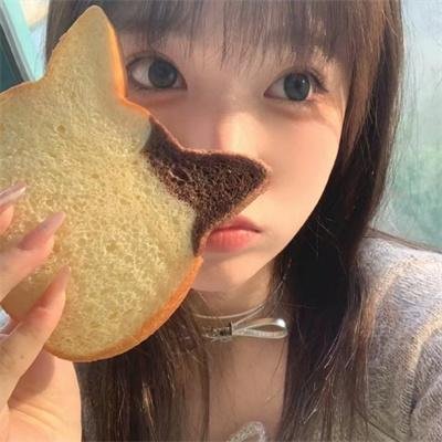 翼·年代记第一季